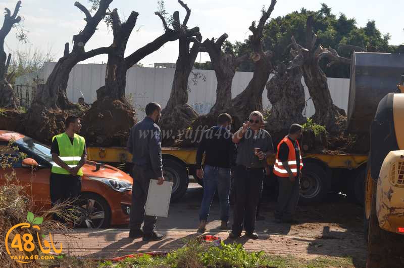 hadm ramla zatoen (18).JPG